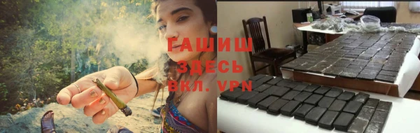 хмурый Алексин