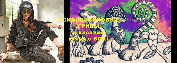 хмурый Алексин
