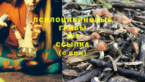 ECSTASY Алексеевка